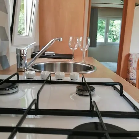 Il Cinisco Kemp